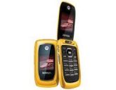 Celular Ferrari i-897 3 Chips, TV, Câmera, Bluetooth, MP3, D